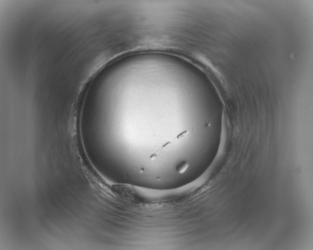 X0000073491459200608140829