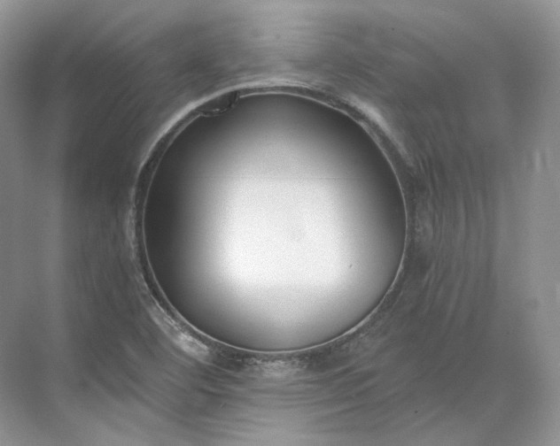 X0000073491460200608140829