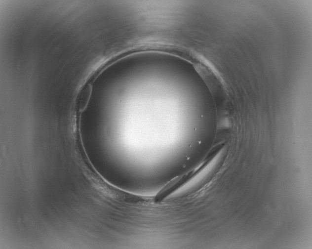 X0000073491461200608140829