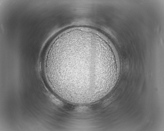 X0000073491462200608140829