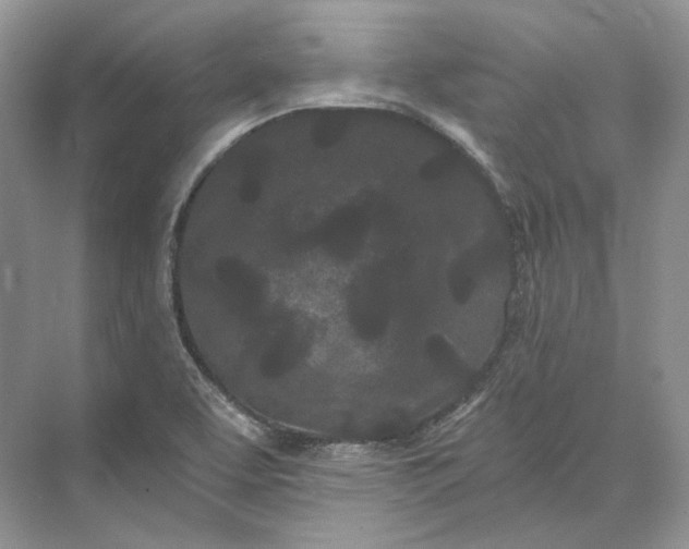 X0000073491463200608140829