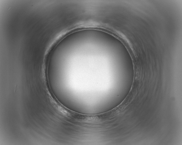 X0000073491464200608140829