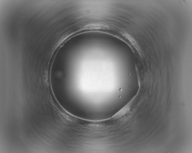 X0000073491465200608140829