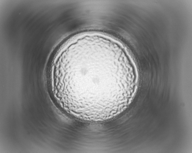 X0000073491466200608140829