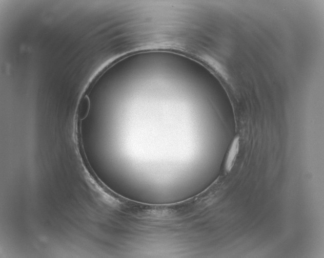 X0000073491468200608140829