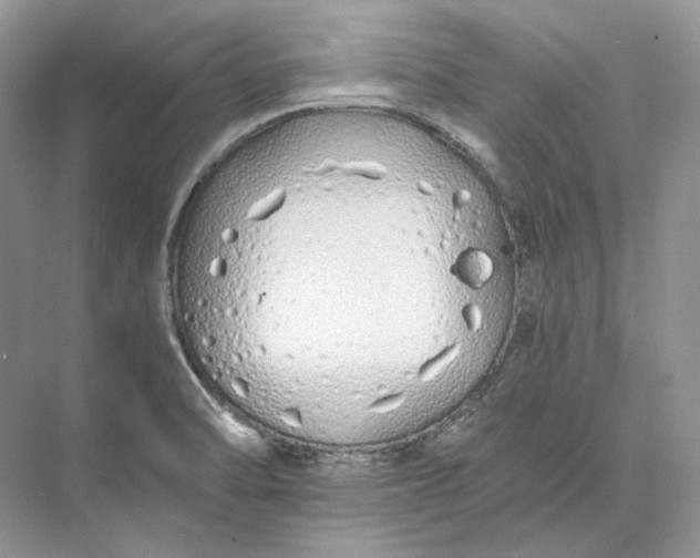 X0000073491470200608140829