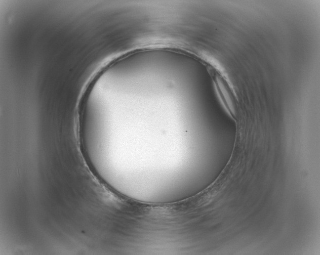 X0000073491472200608140829