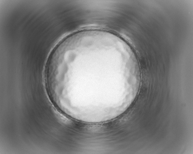 X0000073491474200608140829