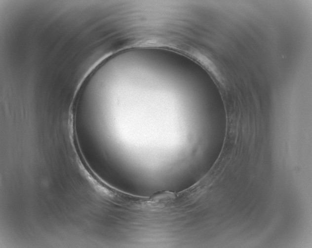 X0000073491476200608140829