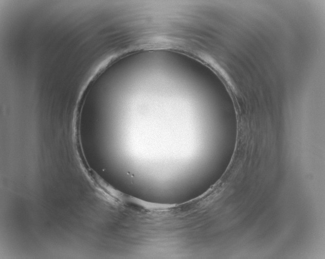 X0000073491477200608140829