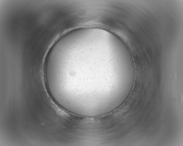 X0000073491478200608140829