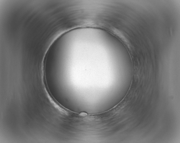 X0000073491479200608140829