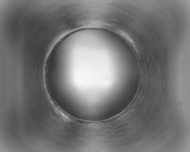 X0000073491480200608140829