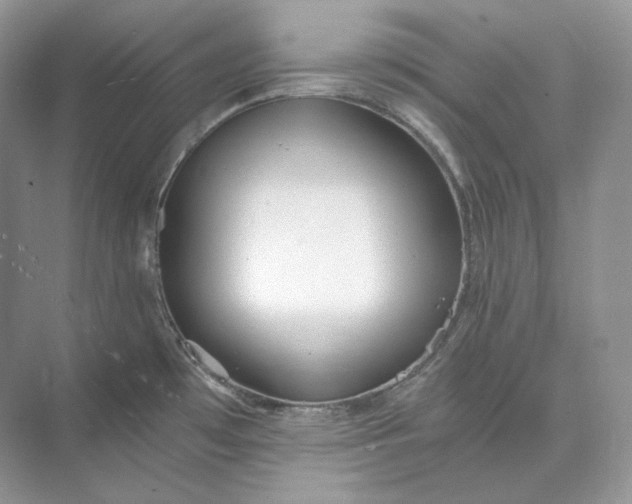 X0000073491481200608140829