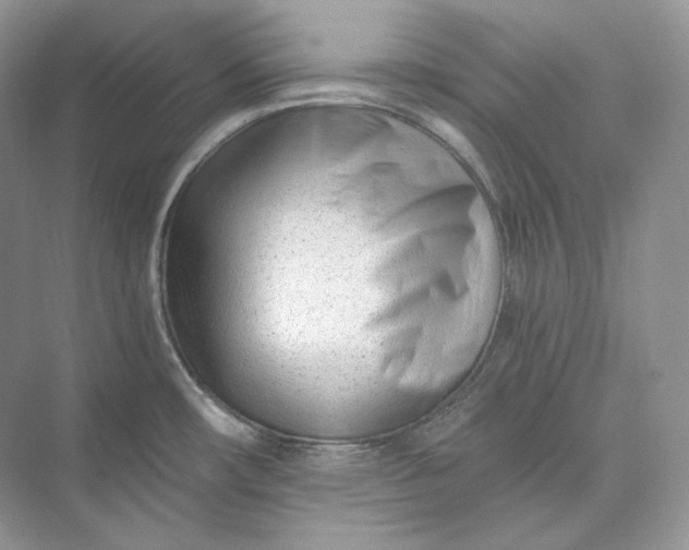 X0000073491482200608140829