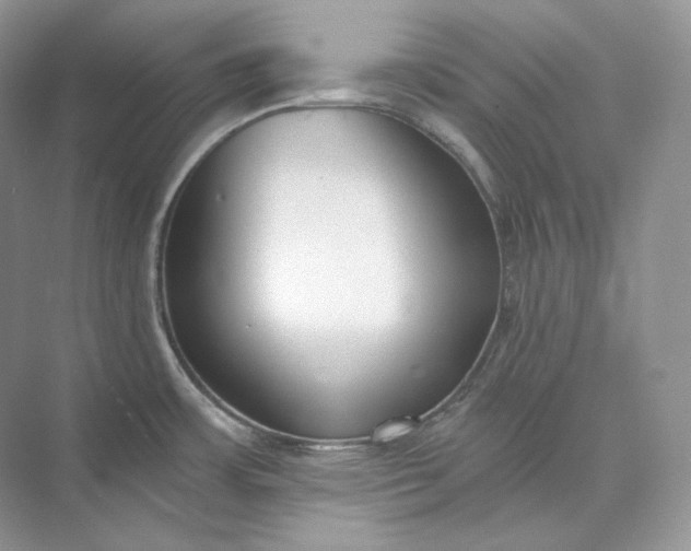 X0000073491483200608140829