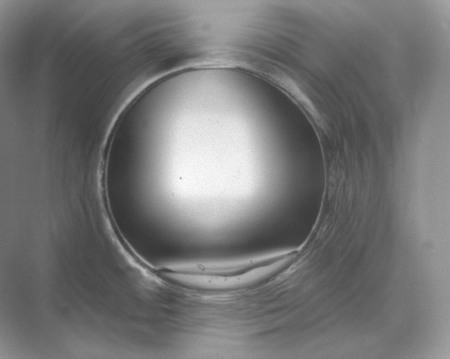 X0000073491484200608140829