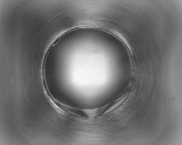 X0000073491485200608140829