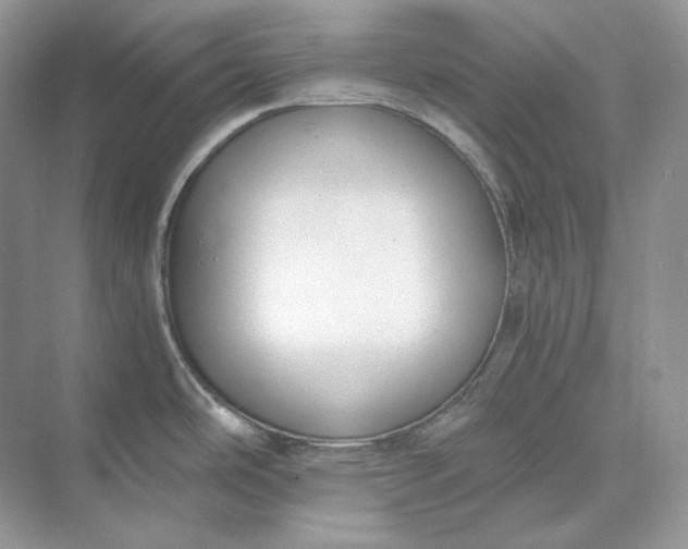 X0000073491486200608140829