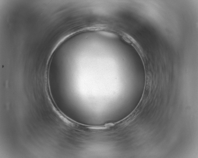 X0000073491487200608140829