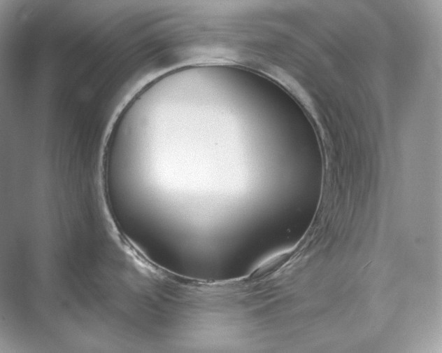 X0000073491488200608140829