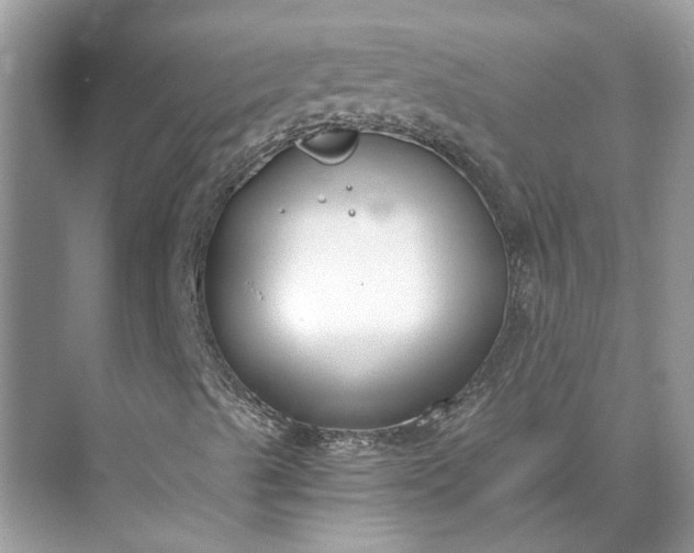 X0000073491489200608140828