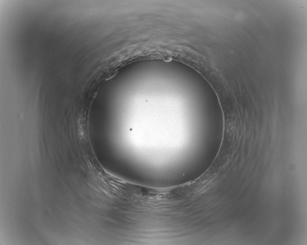 X0000073491490200608140828