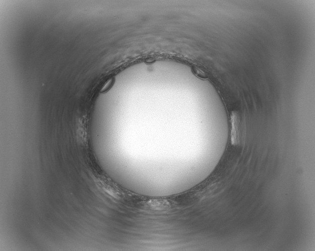 X0000073491491200608140828