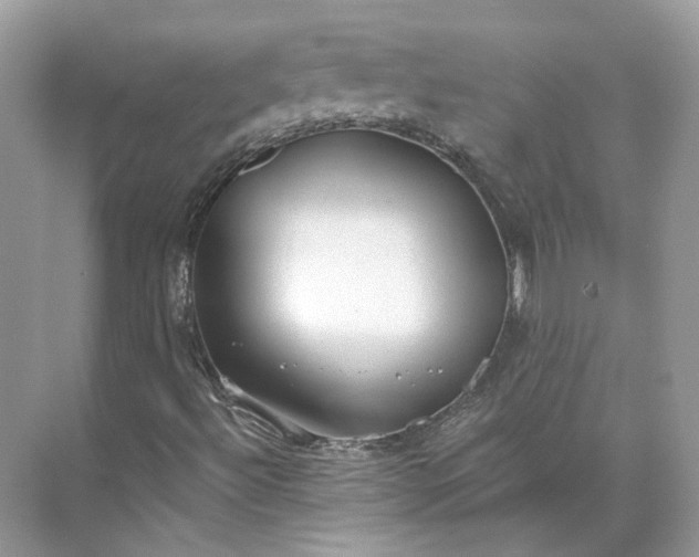 X0000073491492200608140828