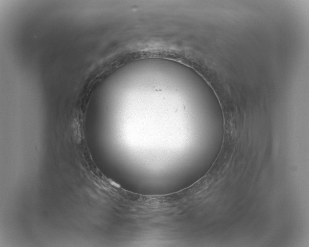 X0000073491493200608140828