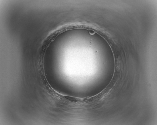 X0000073491494200608140828