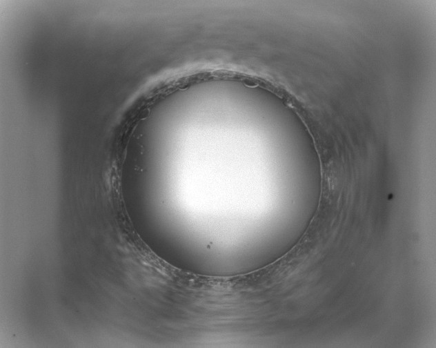 X0000073491495200608140828