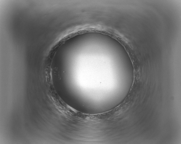 X0000073491496200608140828