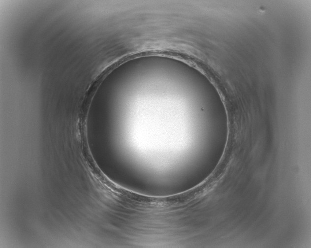 X0000073491497200608140828