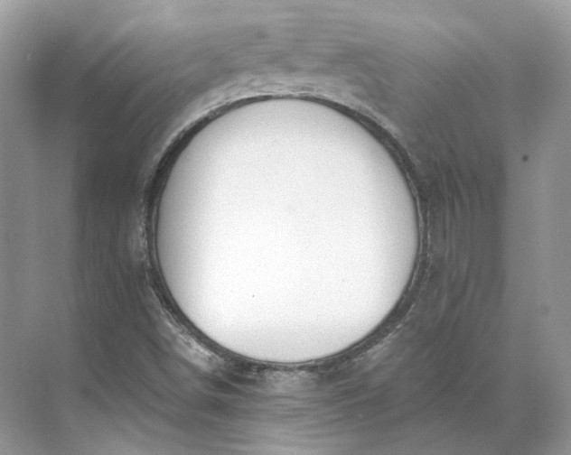 X0000073491498200608140828