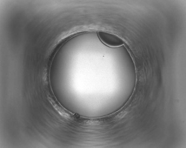 X0000073491499200608140828