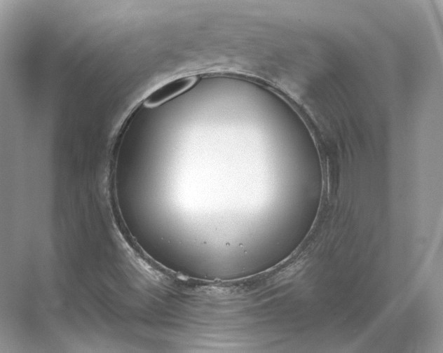 X0000073491500200608140828