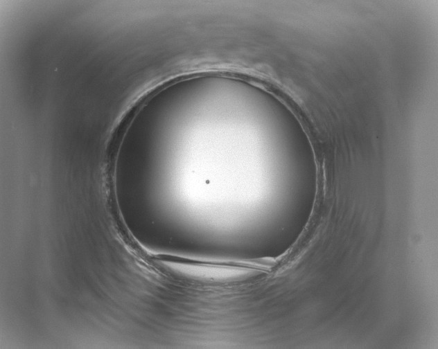 X0000073491501200608140828