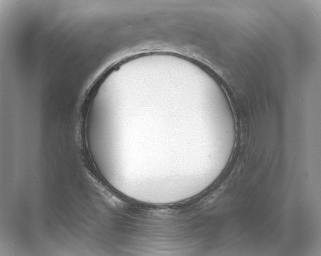 X0000073491502200608140828