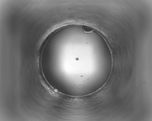 X0000073491503200608140828