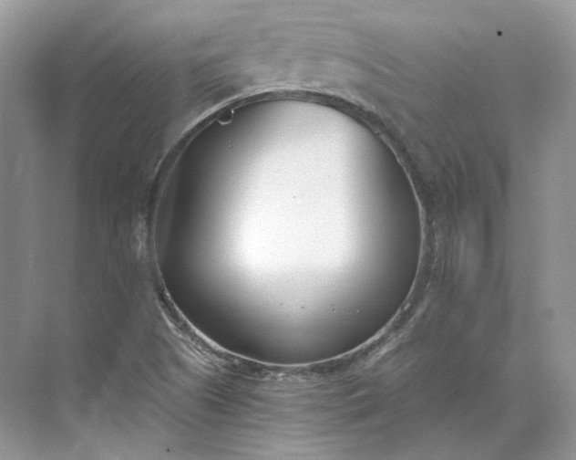 X0000073491505200608140828