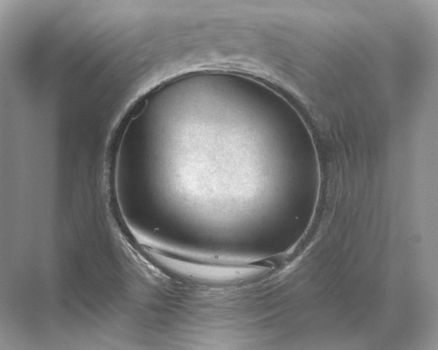 X0000073491506200608140828