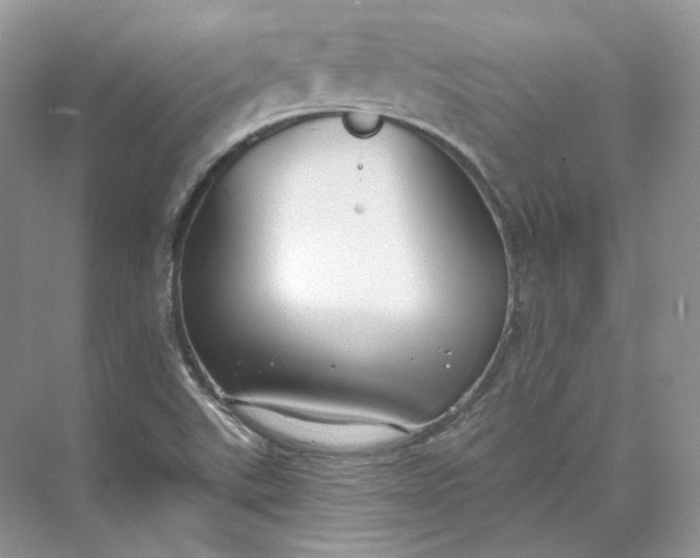 X0000073491507200608140828