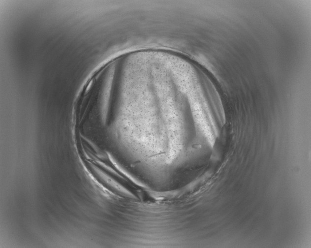 X0000073491508200608140828