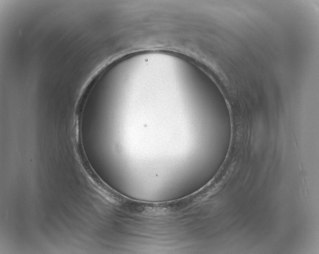 X0000073491509200608140828