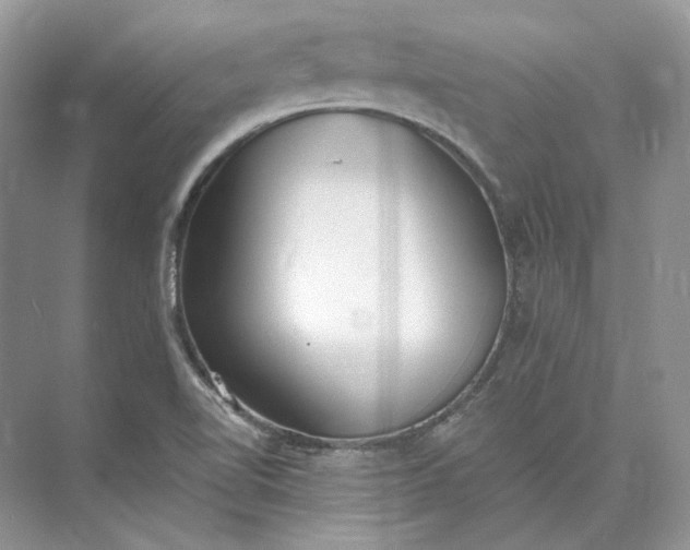 X0000073491510200608140829