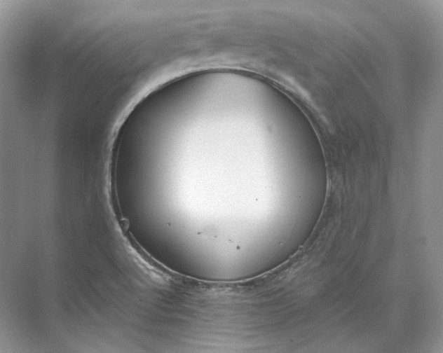 X0000073491512200608140829