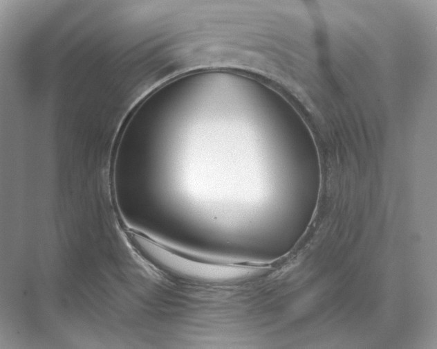 X0000073491513200608140829