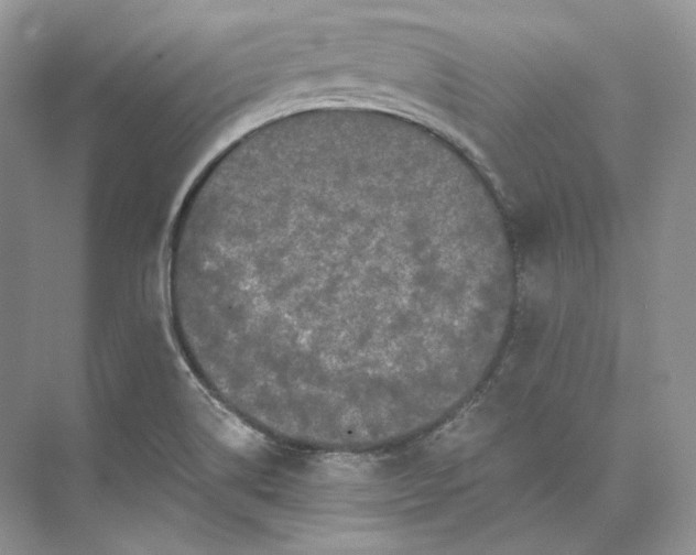 X0000073491514200608140829