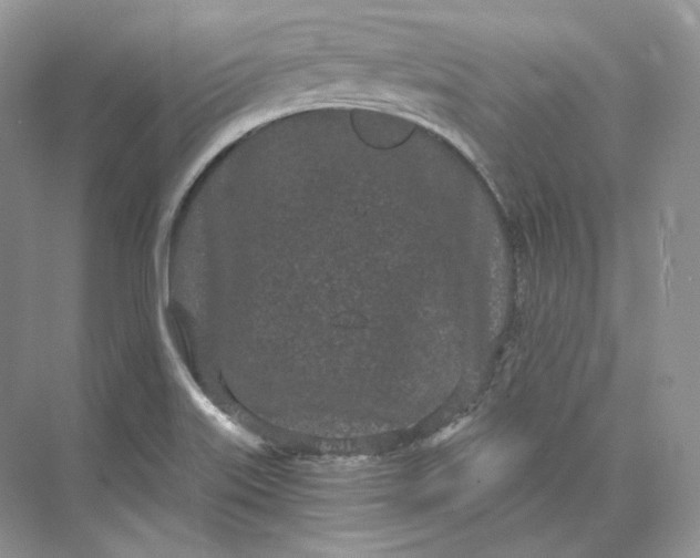 X0000073491515200608140829